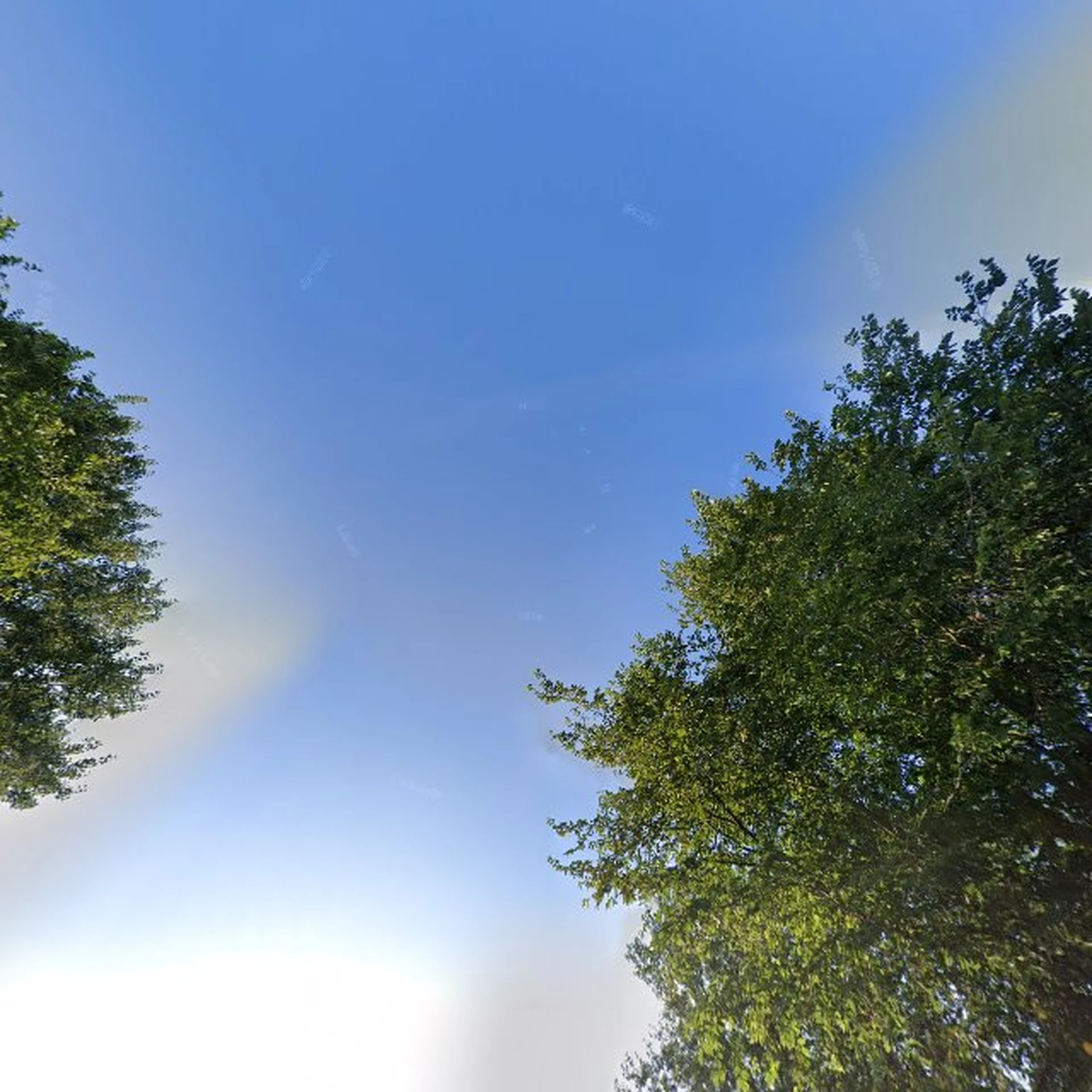 Kringloopwinkel Thrift Warehouse in Zandvoort