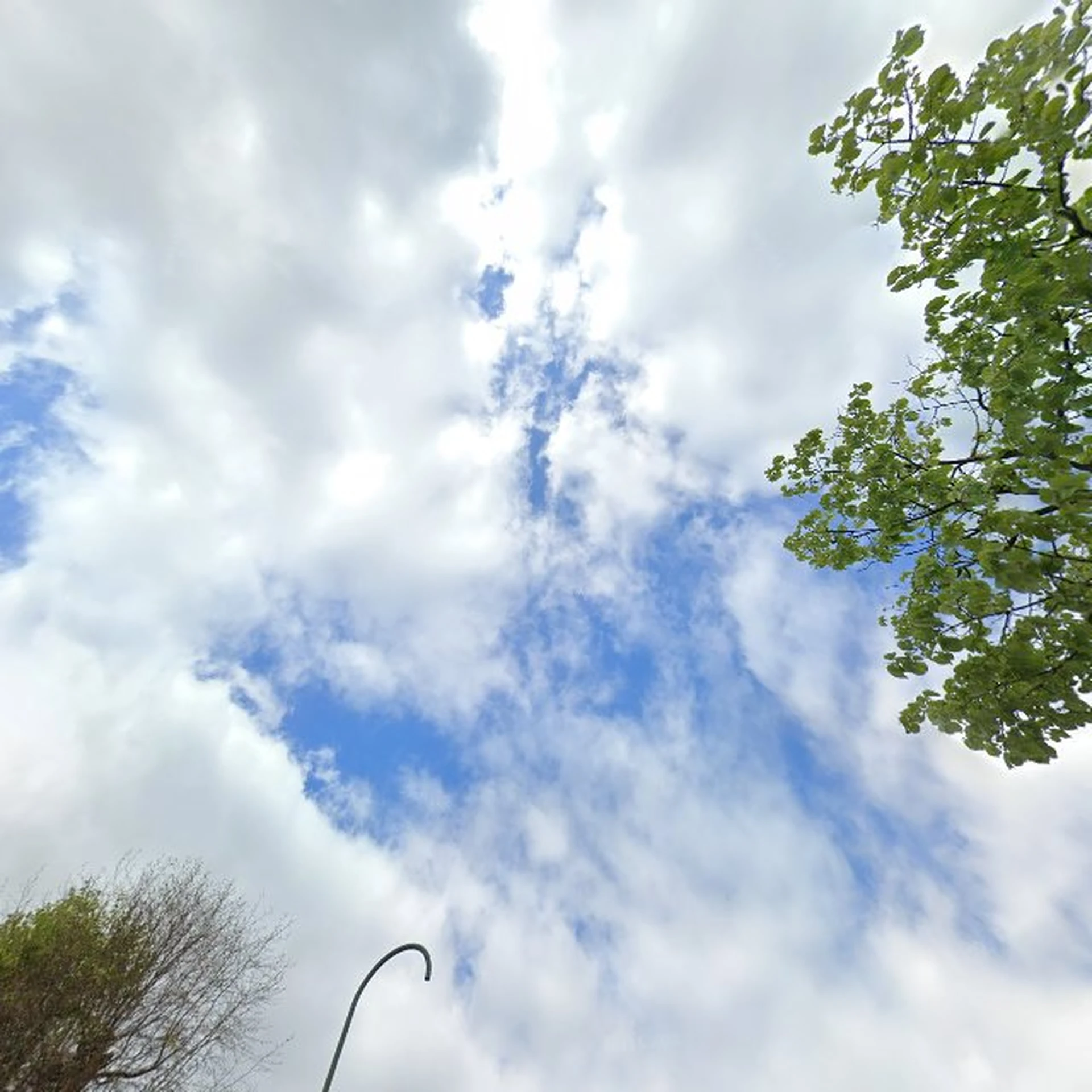 Kringloopwinkel Trendy Kringloopwinkel Chaam in Chaam