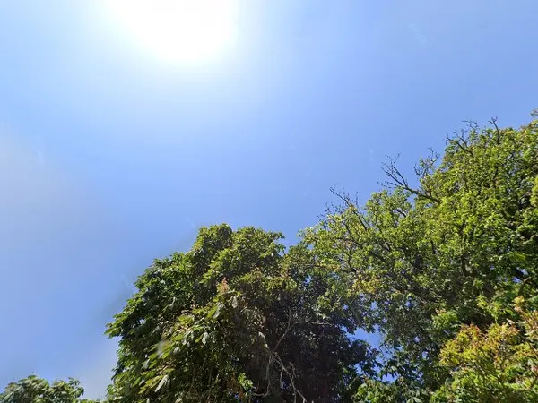 Kringloopwinkel Kringloopwinkel Tuttemerullen in Waalwijk