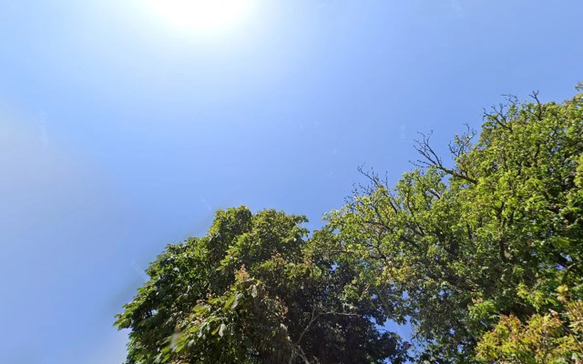 Kringloopwinkel Kringloopwinkel Tuttemerullen in Waalwijk