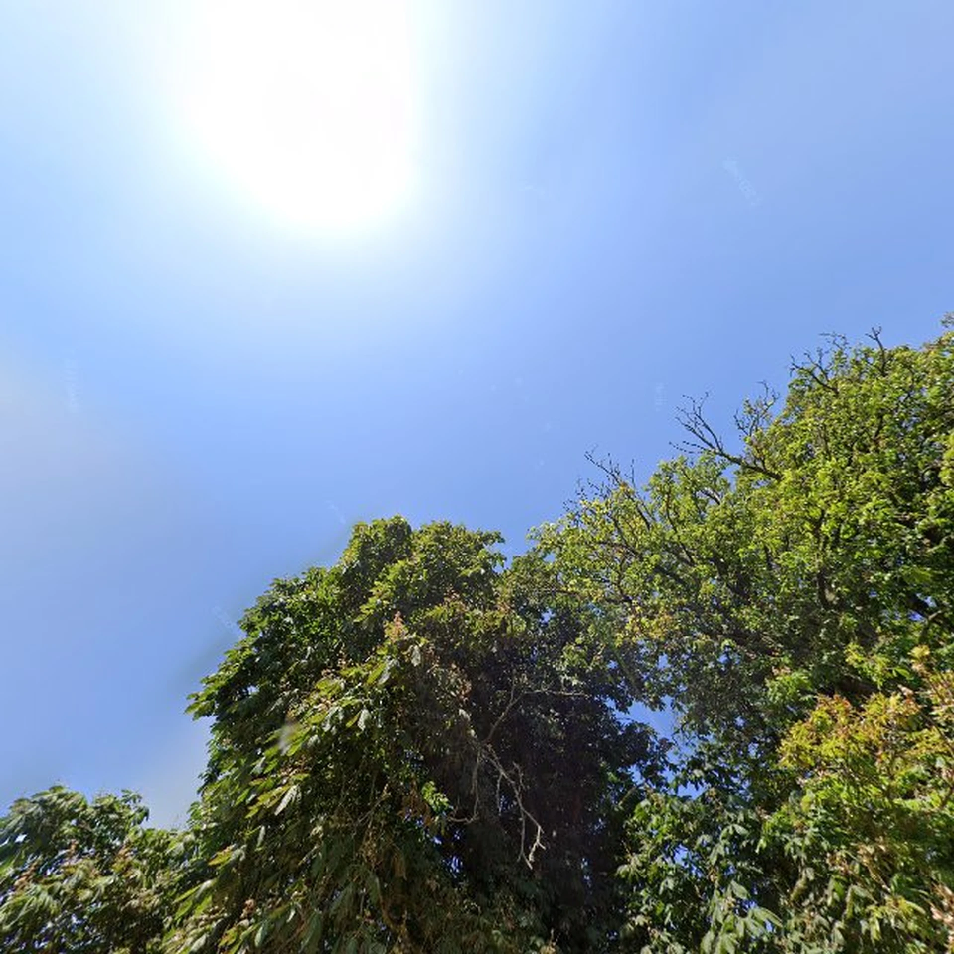 Kringloopwinkel Kringloopwinkel Tuttemerullen in Waalwijk