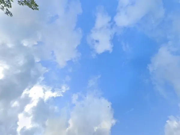 Kringloopwinkel Kringloopwinkel Twadde Kâns in Dokkum