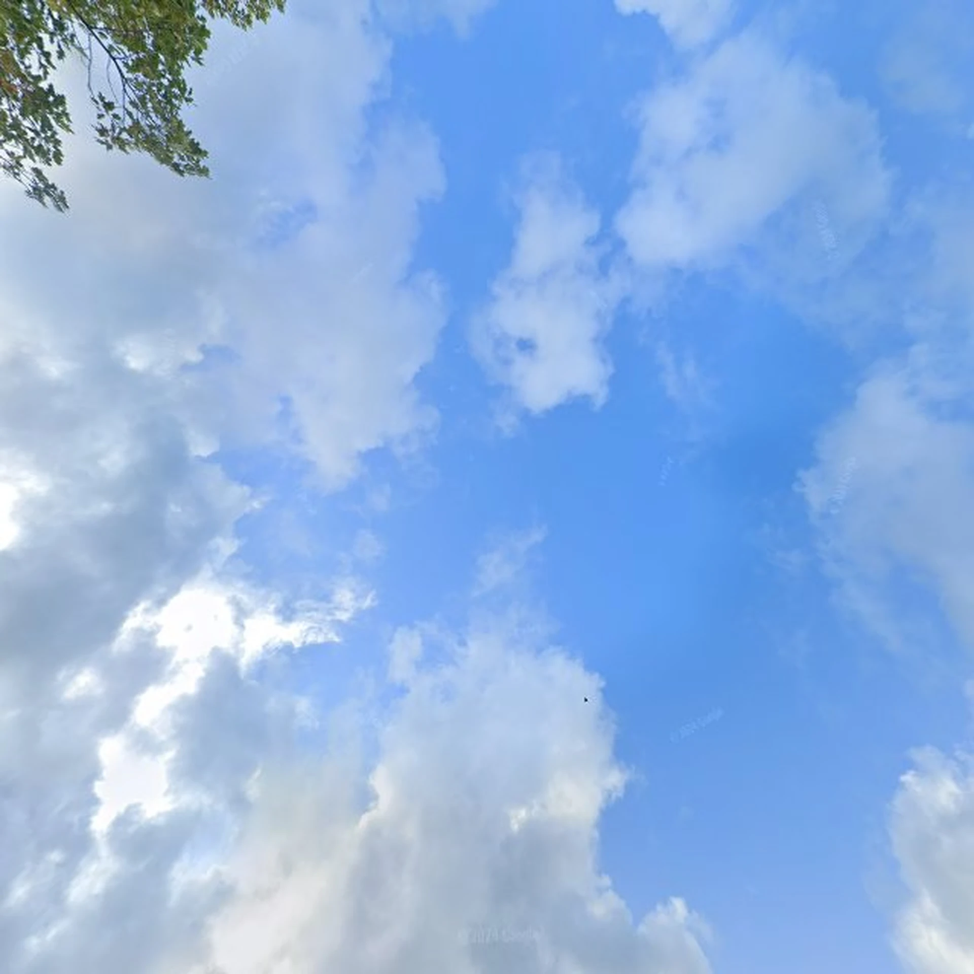 Kringloopwinkel Kringloopwinkel Twadde Kâns in Dokkum