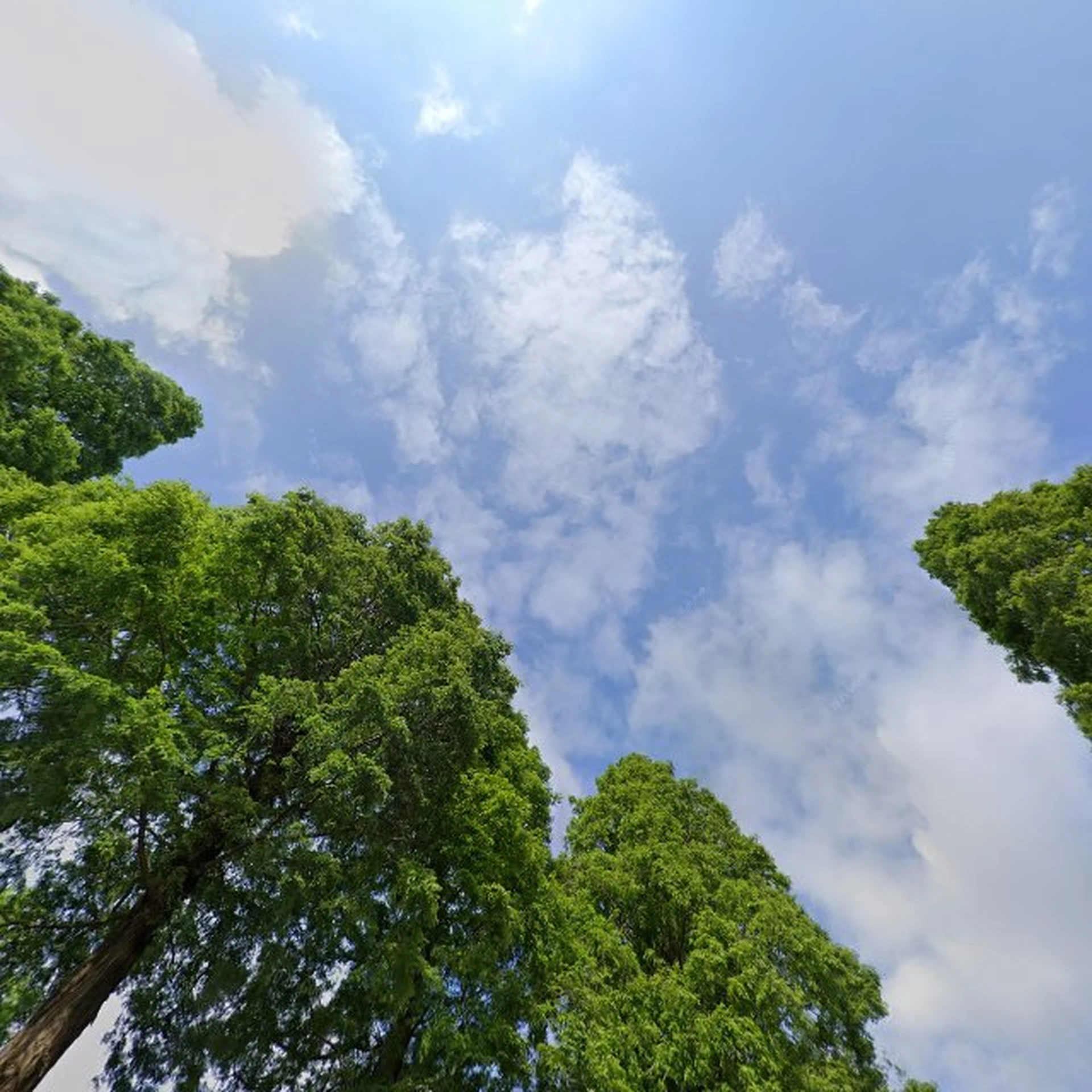 Kringloopwinkel Tweede Kanswinkel De Aanpakkers in Oude Pekela