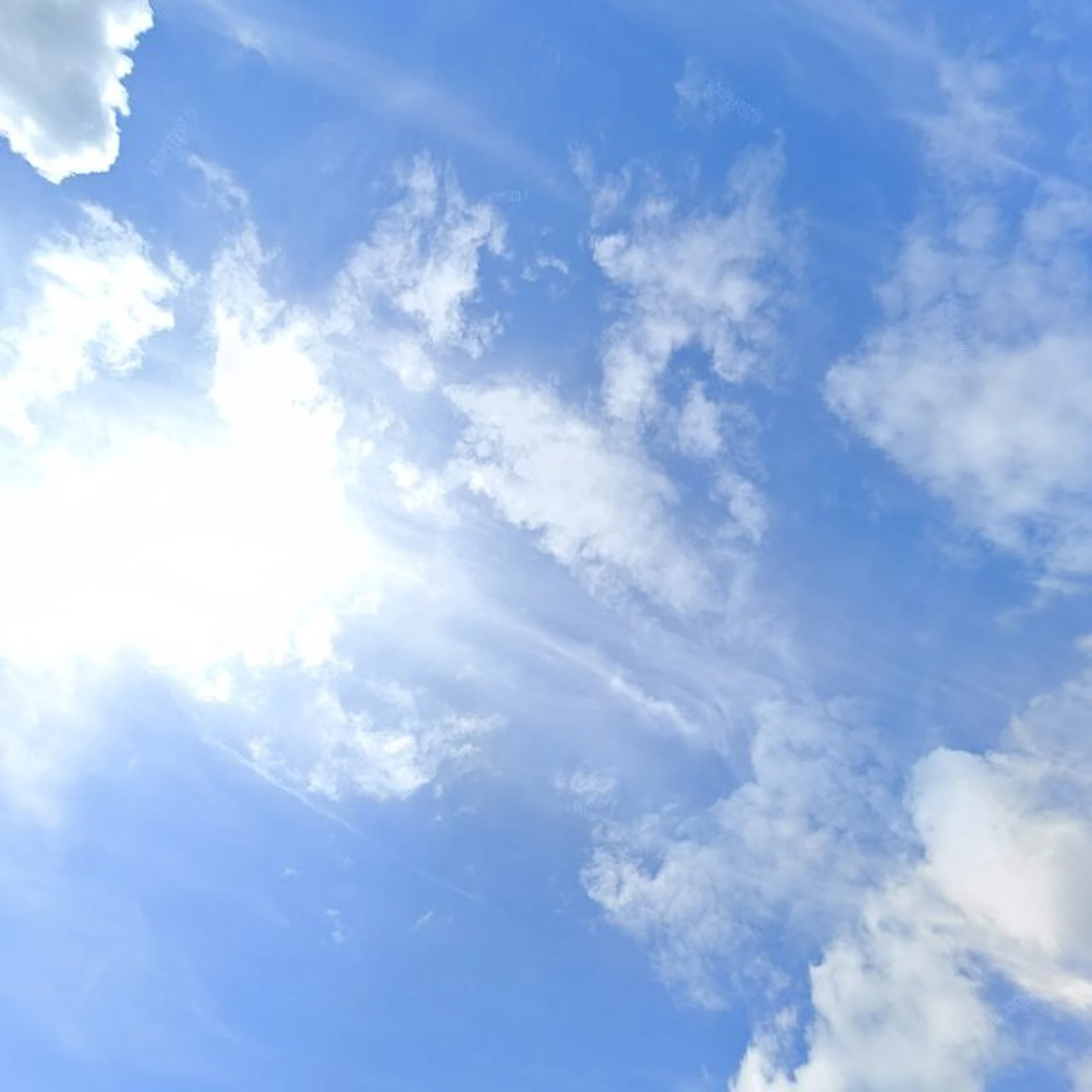 Kringloopwinkel Kringloopwinkel Tweede Kanswinkel De Bob Shop in Molenaarsgraaf