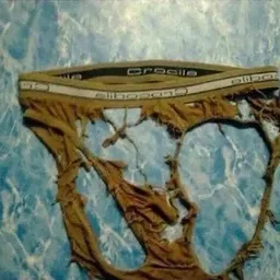 Bezoeker foto van Kringloopwinkel Twiddus in Waalwijk