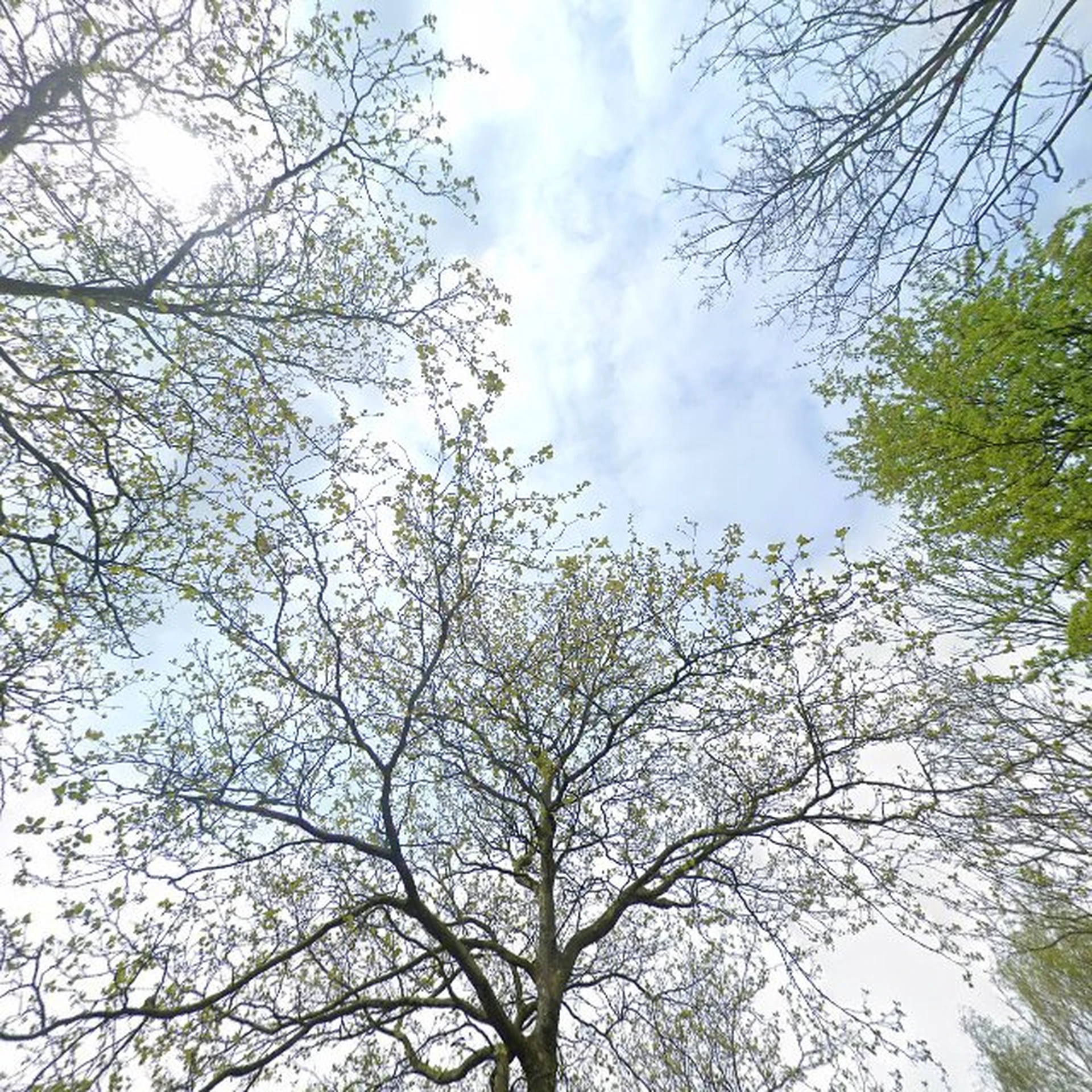 Kringloopwinkel Kringloopwinkel Ut Strúnhûs in Stiens