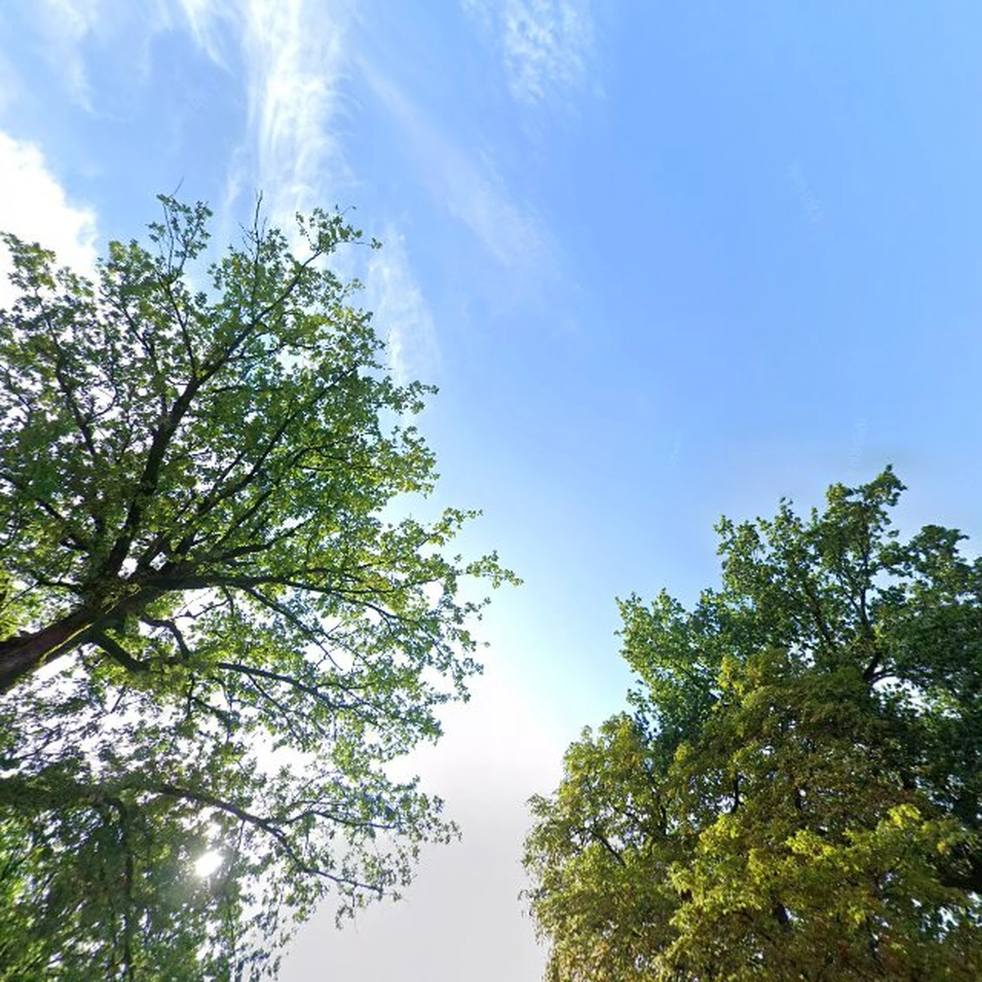 Kringloopwinkel Kringloopwinkel Vallei Vintage in Woudenberg