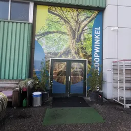 Ingang van kringloopwinkel met dubbele glazen deuren, grote boom-afbeelding op achtergrond, groene en witte zijwanden