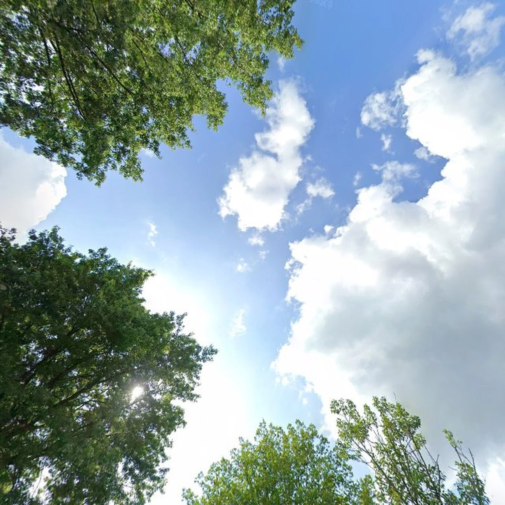 Kringloopwinkel Verderest kringloopwinkel in Valkenswaard