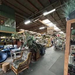 Binnenaanzicht van kringloopwinkel met diverse meubels, planten en spullen langs stellingen en wanden