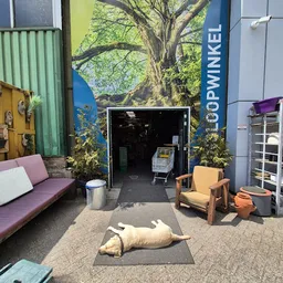 Bezoeker foto van Verderest kringloopwinkel in Valkenswaard