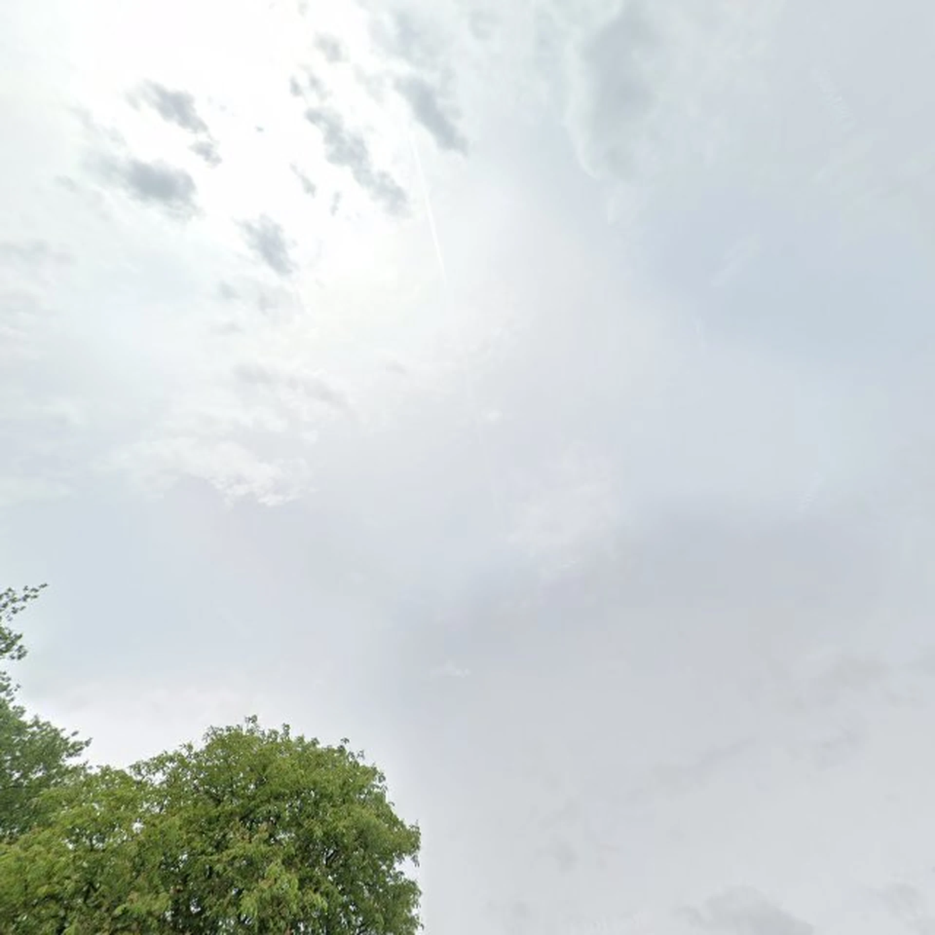 Kringloopwinkel Vide kringloopwinkel Wijdemeren in Loosdrecht