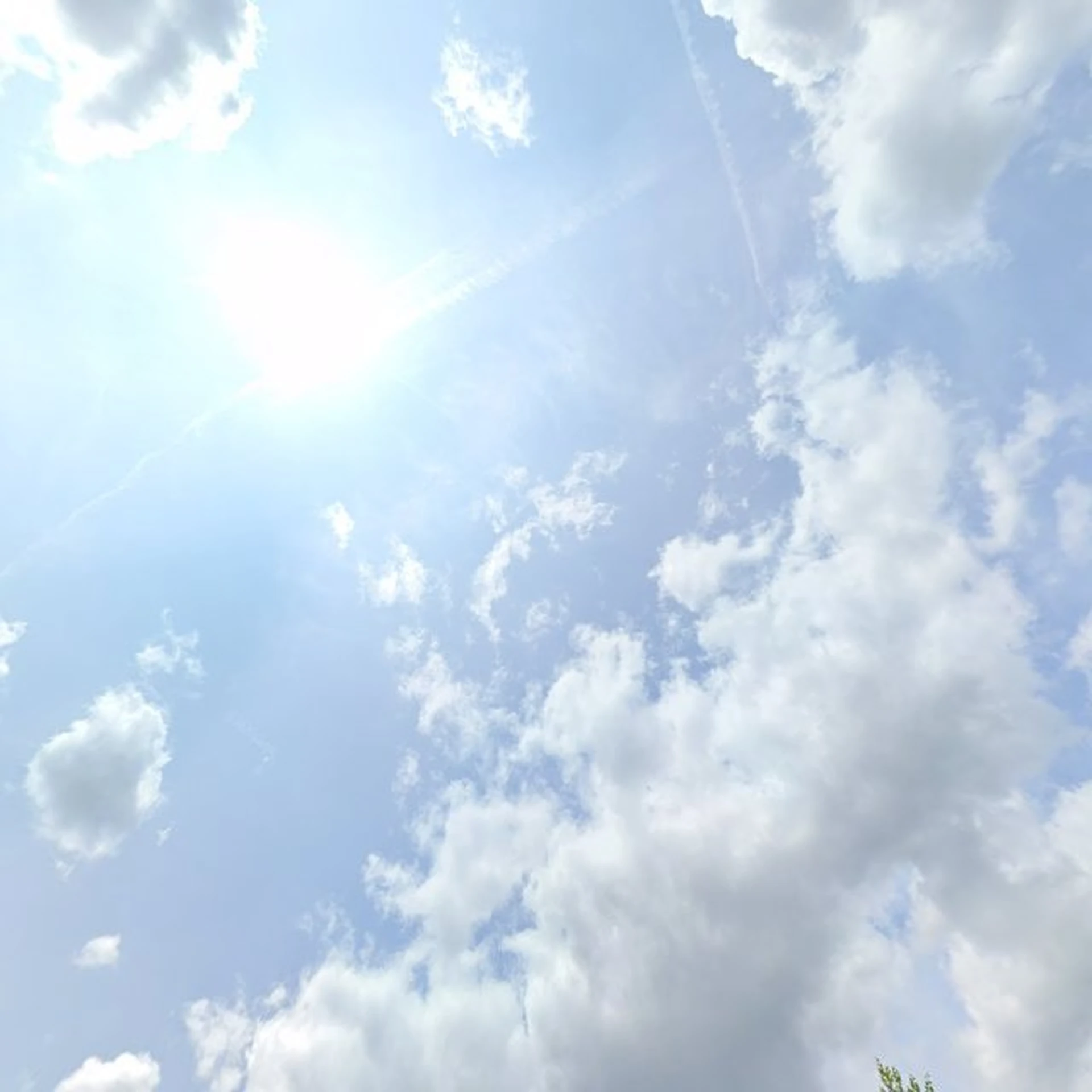 Kringloopwinkel Vincentius Kringloopwinkel in Vught