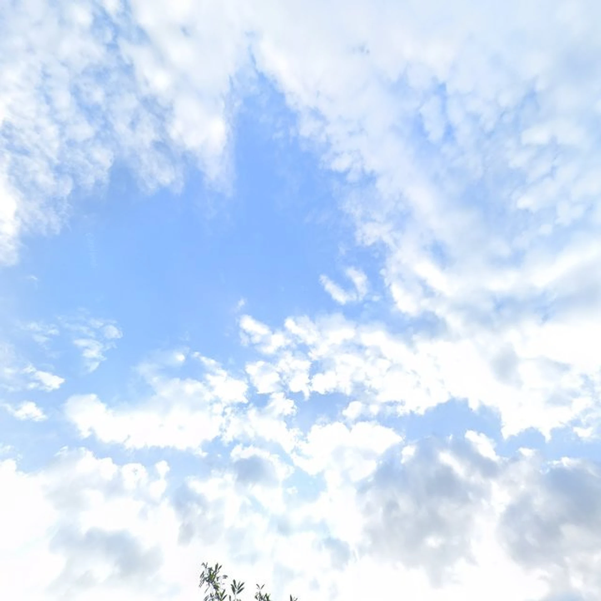 Kringloopwinkel Kringloopwinkel Vincentiushuis Roermond in Roermond