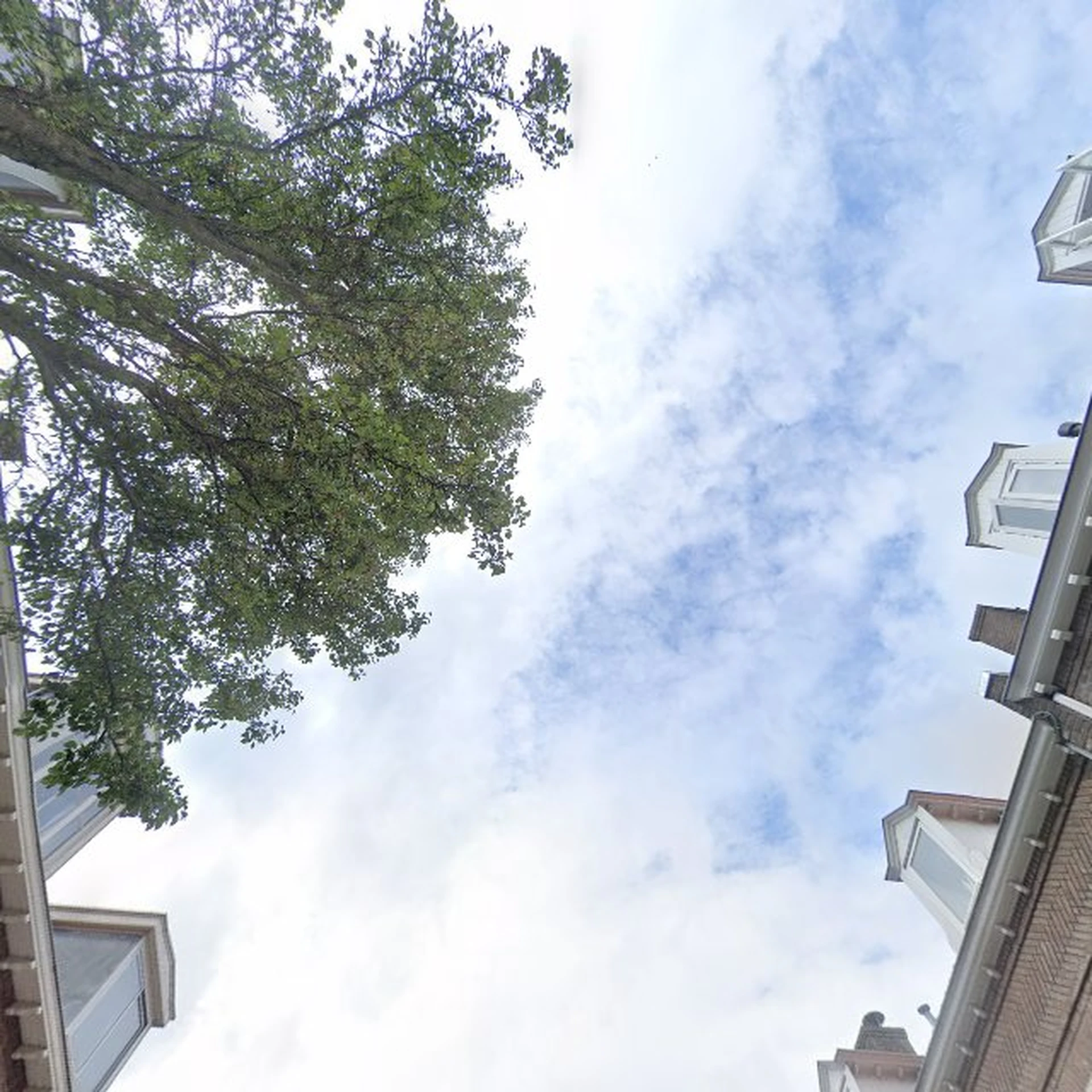 Kringloopwinkel Kringloopwinkel Vincentiusvereniging 's-Hertogenbosch in Den Bosch