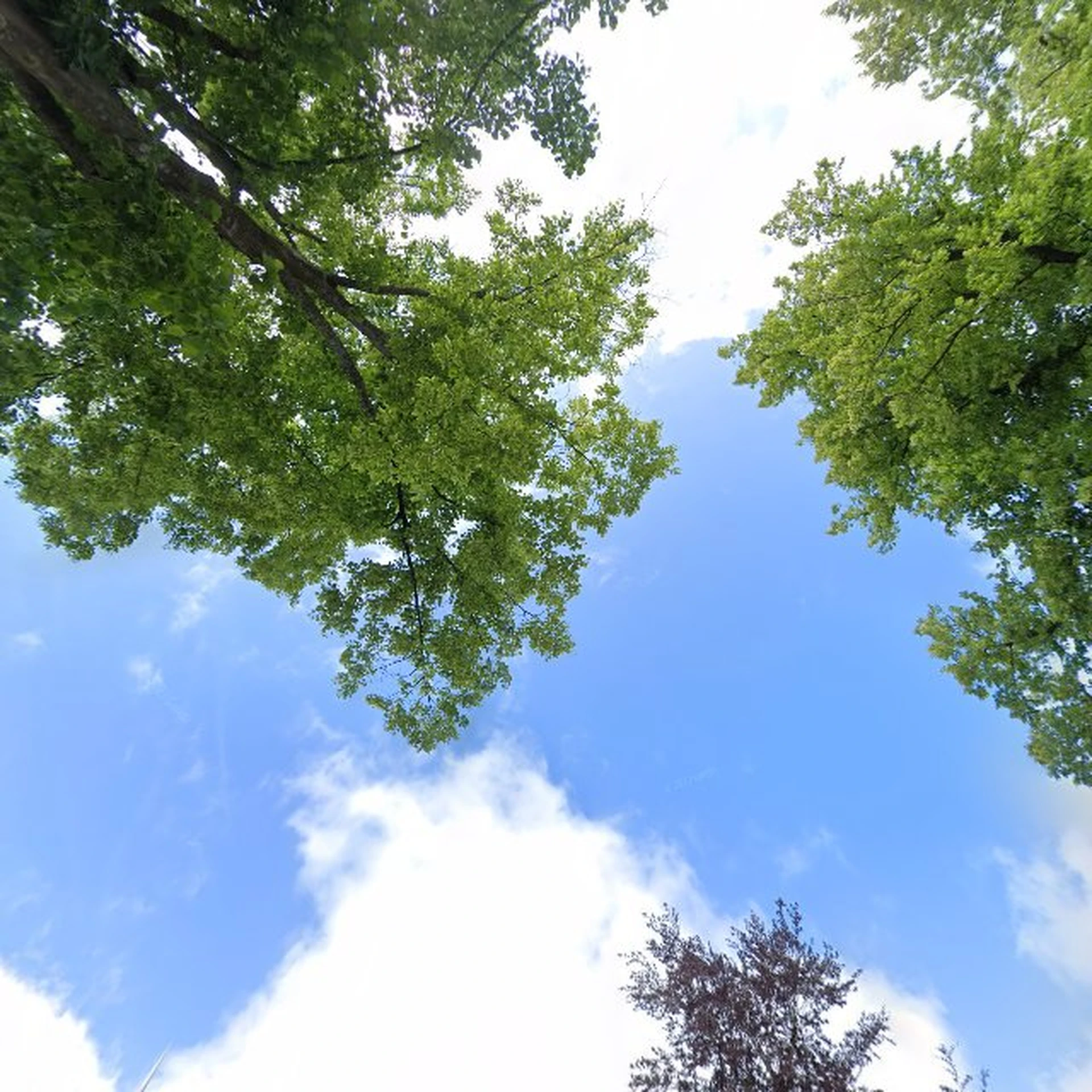 Kringloopwinkel Kringloopwinkel Vintage Hier in Bathmen