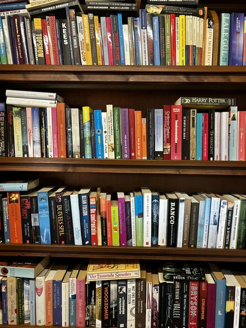 Houten boekenplank met uitgestalde tweedehands boeken in verschillende kleuren en formaten