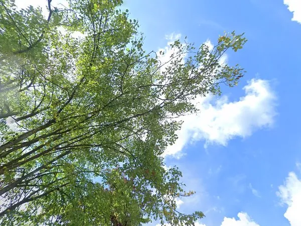 Kringloopwinkel in Geesteren