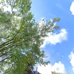 Kringloopwinkel Kringloopwinkel Vintage Kledingboetiek in Geesteren