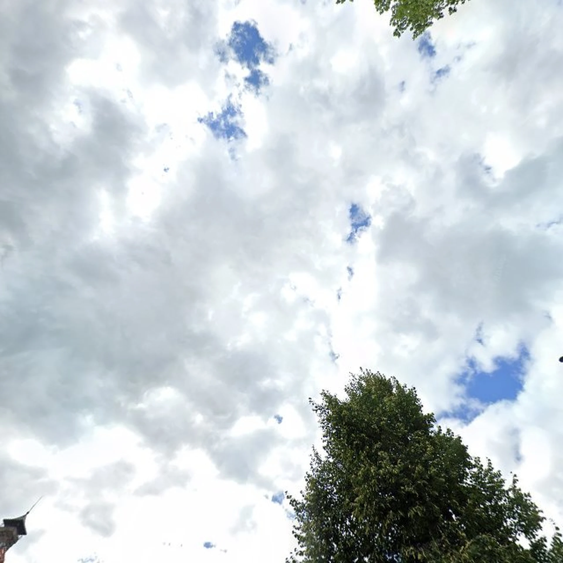 Kringloopwinkel Vintage kringloop store Vorden in Vorden