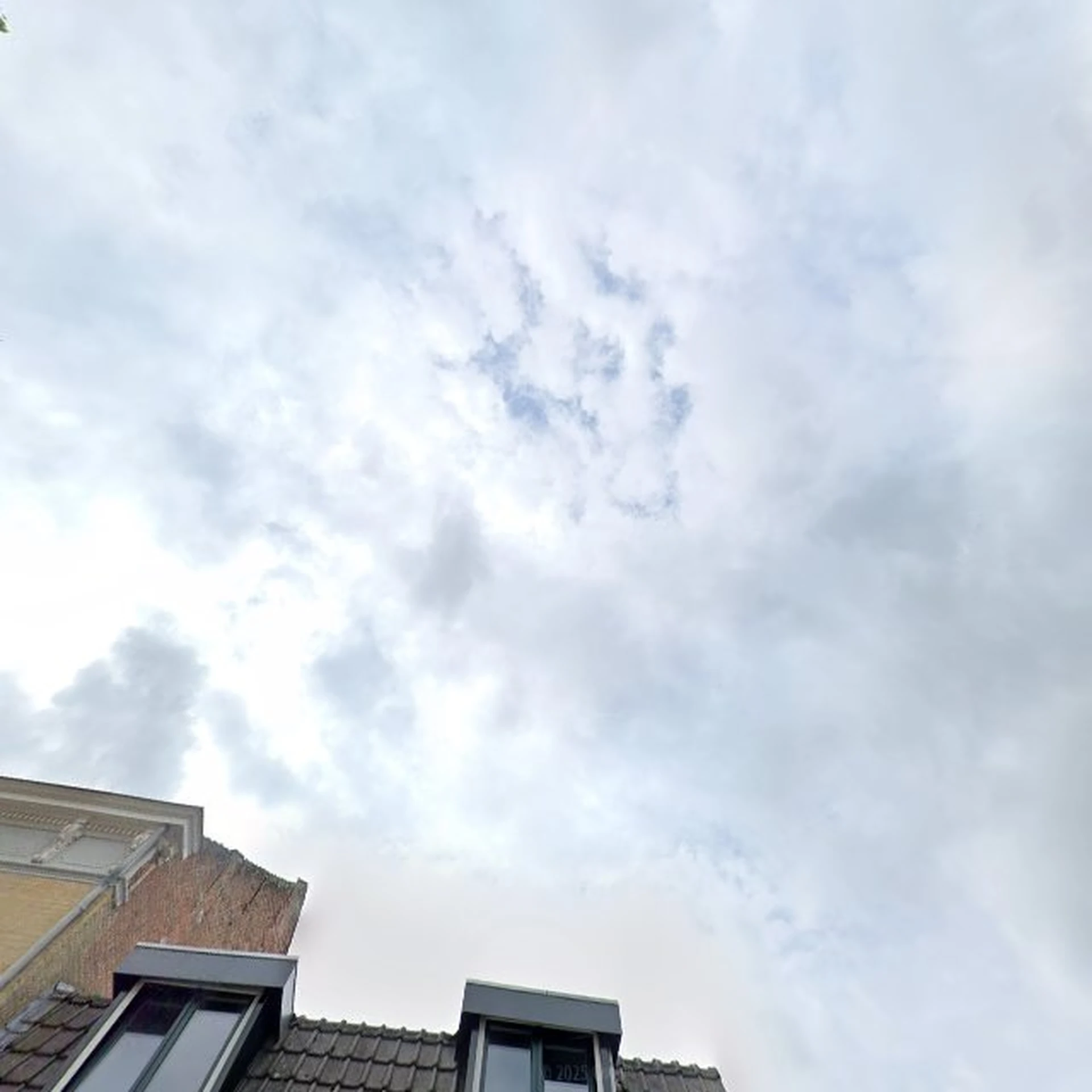 Kringloopwinkel Kringloopwinkel Voor elk wat wils in Zaamslag