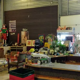 Overzicht van de winkelvloer met stellingen, diverse spullen, planten en decoratie
