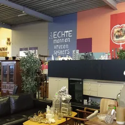 Winkelinterieur met gekleurde wanden, displaykasten, meubels en decoratieve items in verschillende uitstallingshoeken