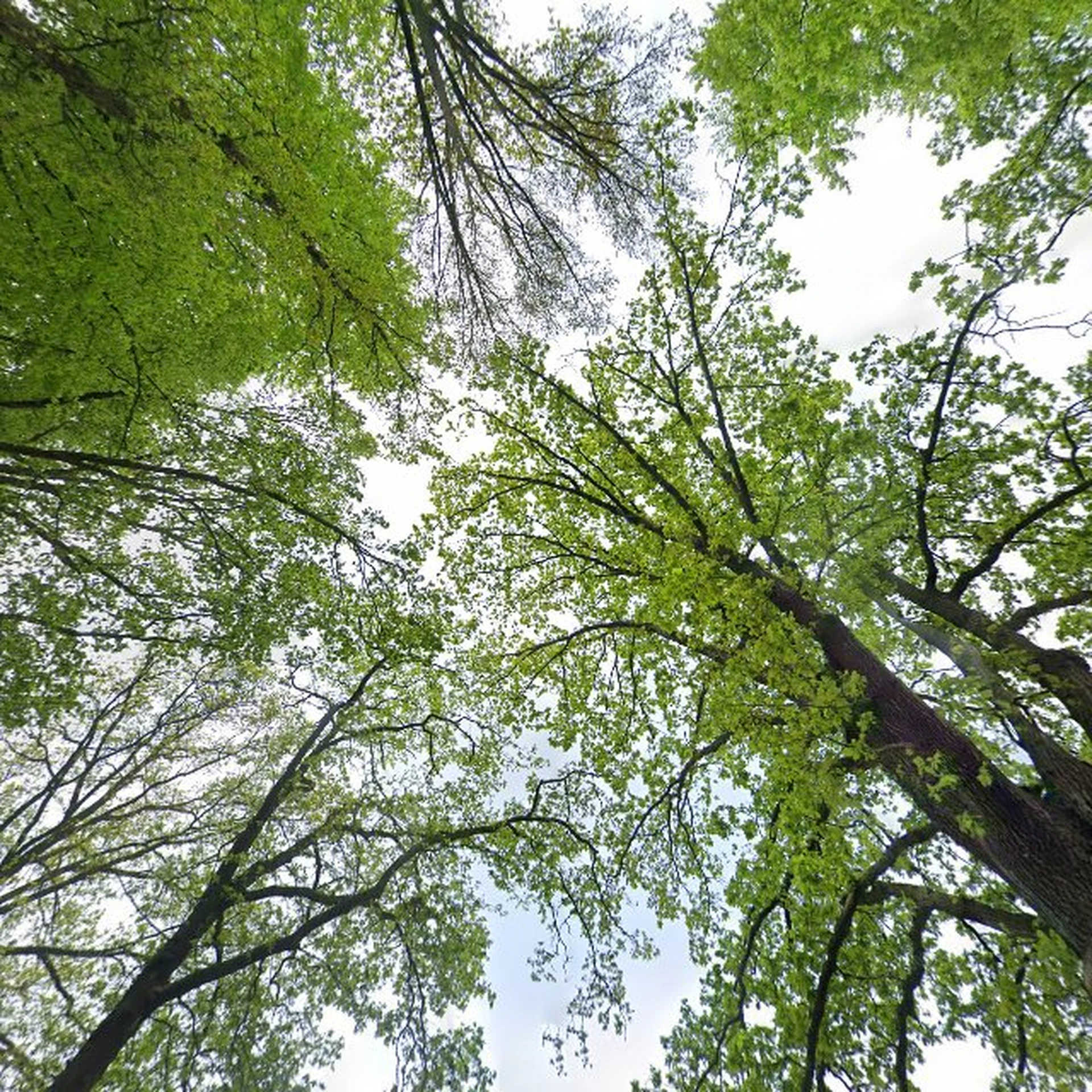 Kringloopwinkel Kringloopwinkel Wat ik mooi vind in Schalkhaar