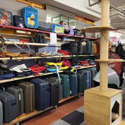 Schappen en rekken vol met tweedehands koffers, tassen en reisartikelen in verschillende kleuren en maten