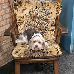 Bezoeker foto van Wawollie Kringloop Haaksbergen in Haaksbergen