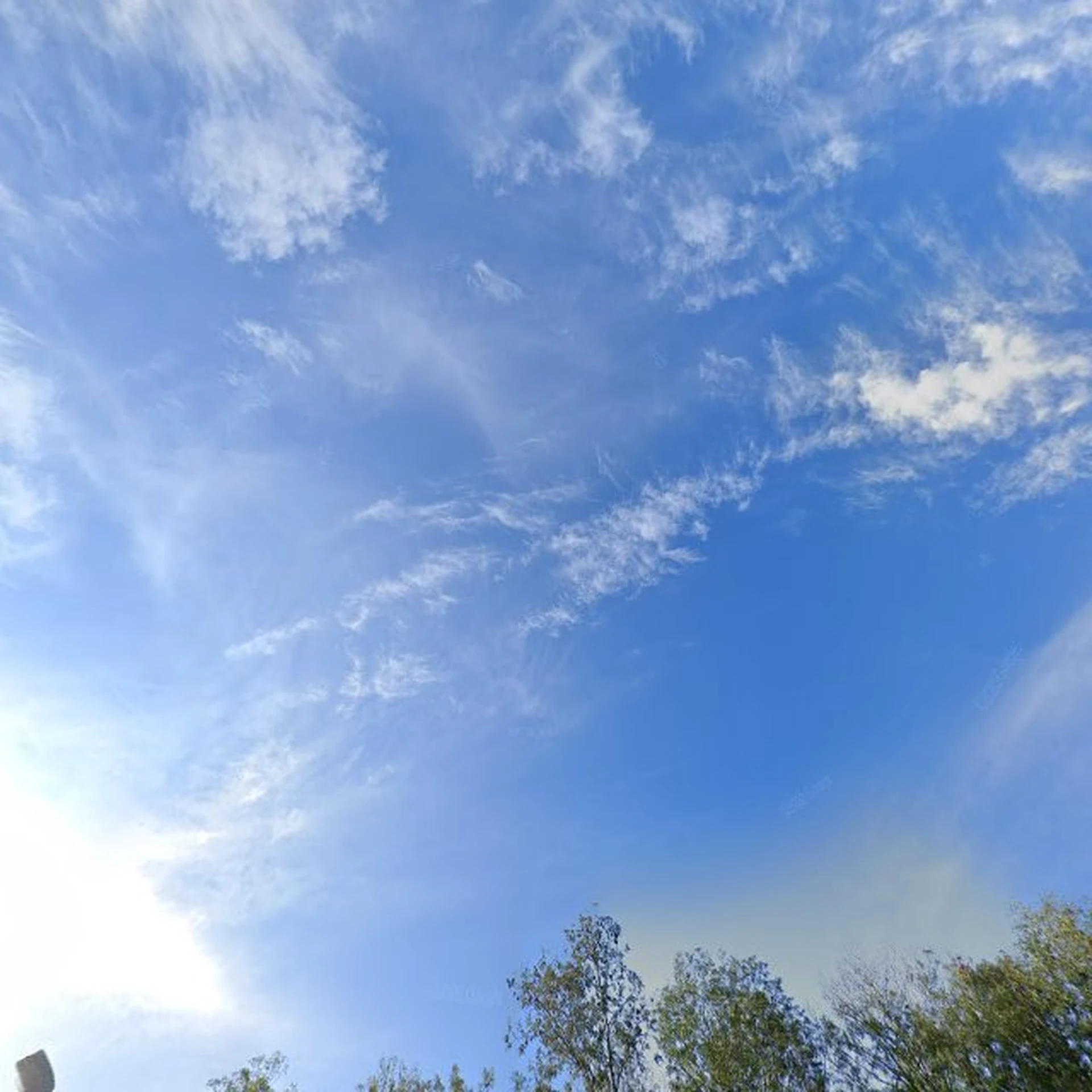 Kringloopwinkel Wawollie Kringloop Utrecht - Lage Weide in Utrecht