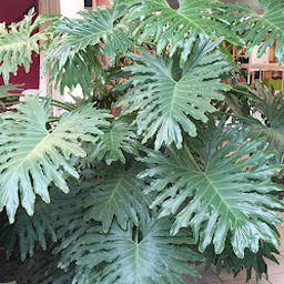 Bezoeker foto van Wawollie Kringloop Utrecht - Lage Weide in Utrecht