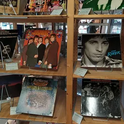 Vitrinekast met vintage LP-platen en albumhoezen uitgestald op houten schappen