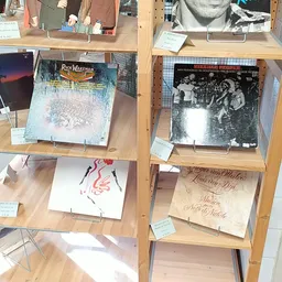 Twee houten stellingen met uitgstalde vinyl records, fotoboeken en muziekalbums