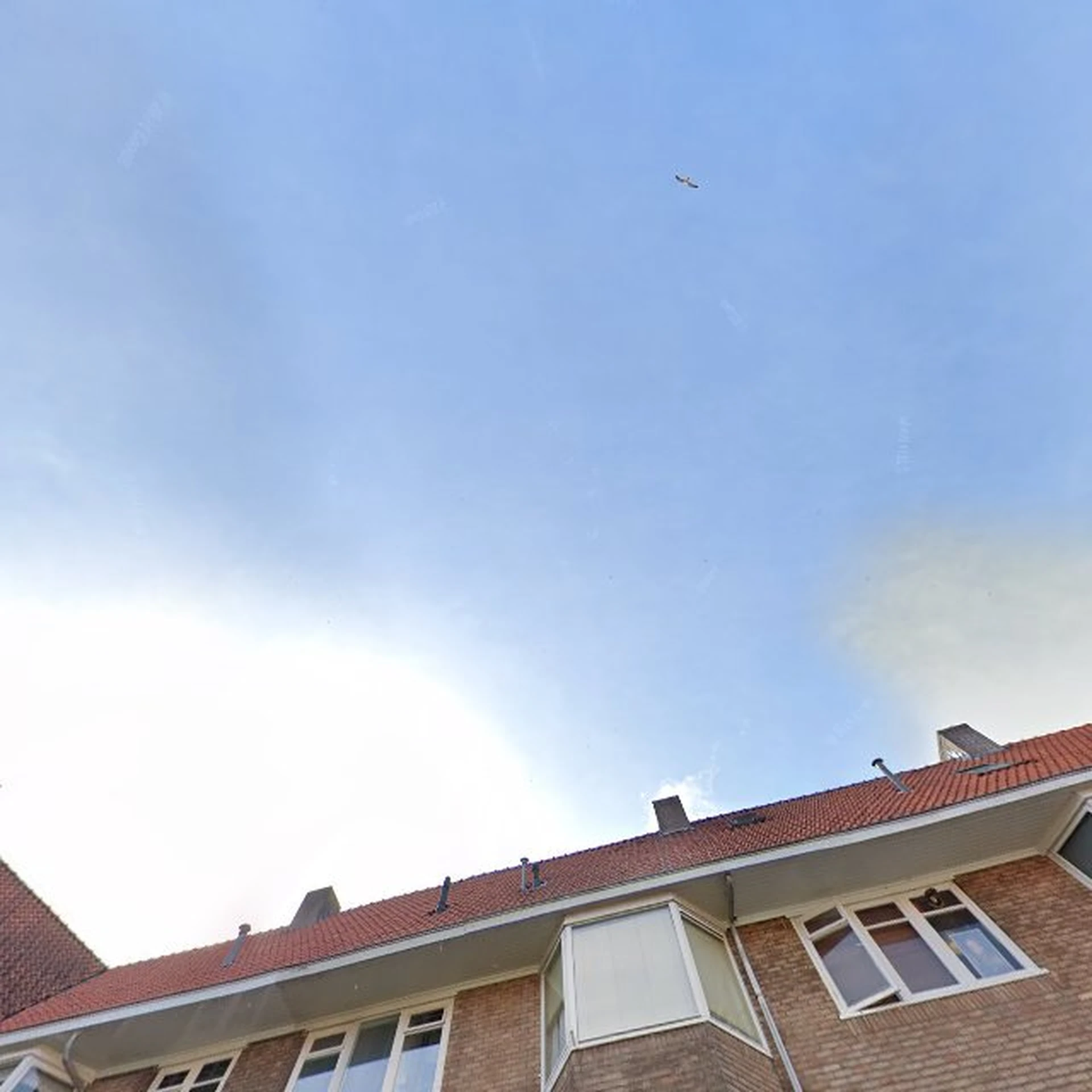 Kringloopwinkel Kringloopwinkel Wijkbedrijf Het Groenhuis in Groningen Stad