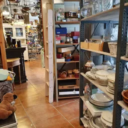 Bezoeker foto van Kringloopwinkel WillysWarenhuis NatuurlijkWonen in Wageningen