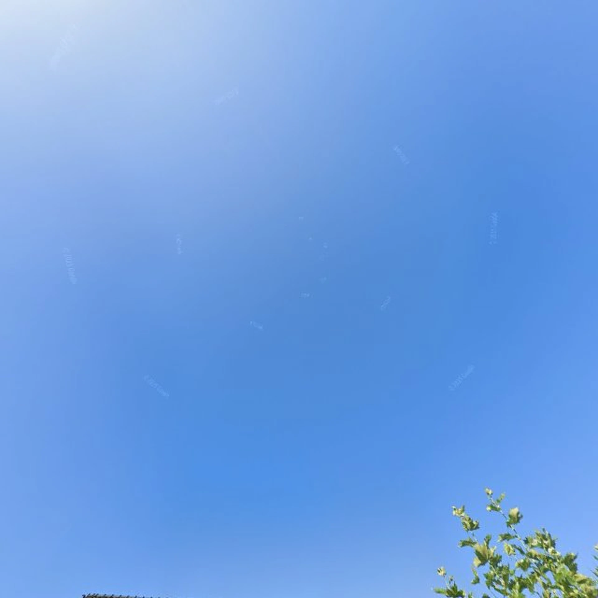 Kringloopwinkel Winkel 5 in Hilversum