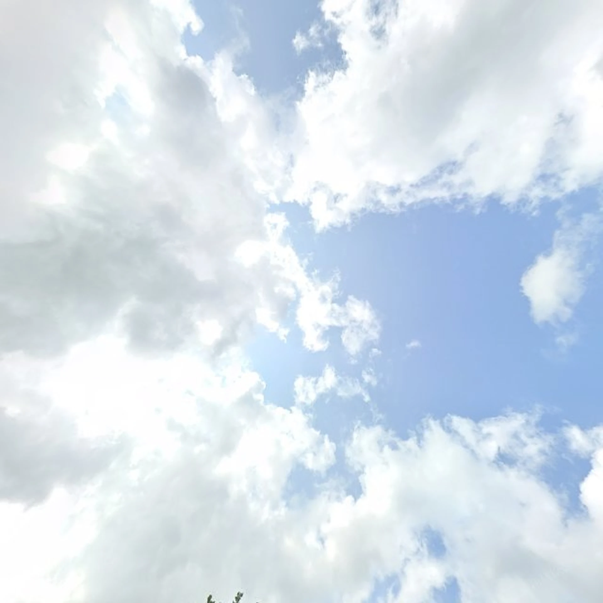 Kringloopwinkel Kringloopwinkel Winkel fan Tryn in Oentsjerk