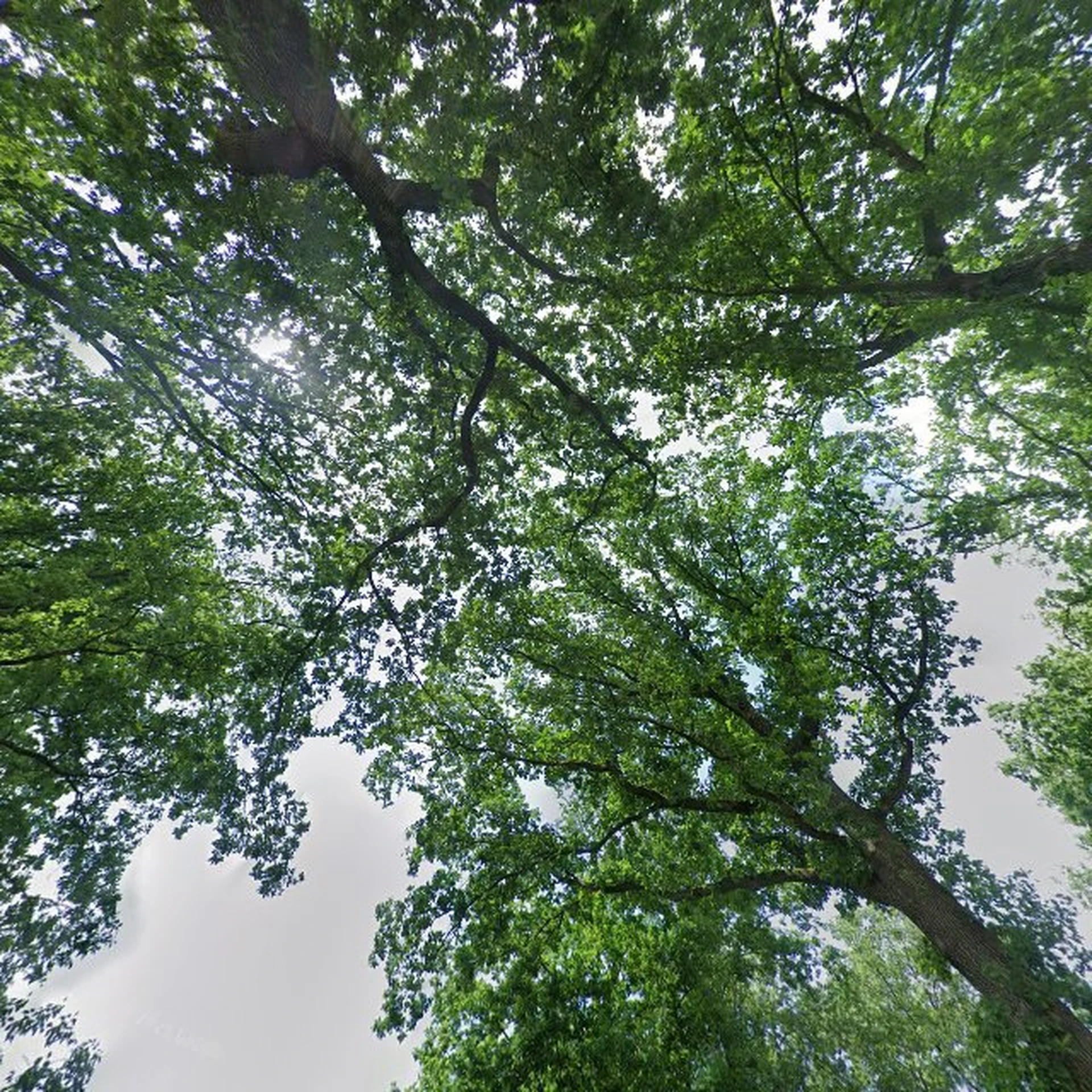 Kringloopwinkel Wisper-Classics in Wezup