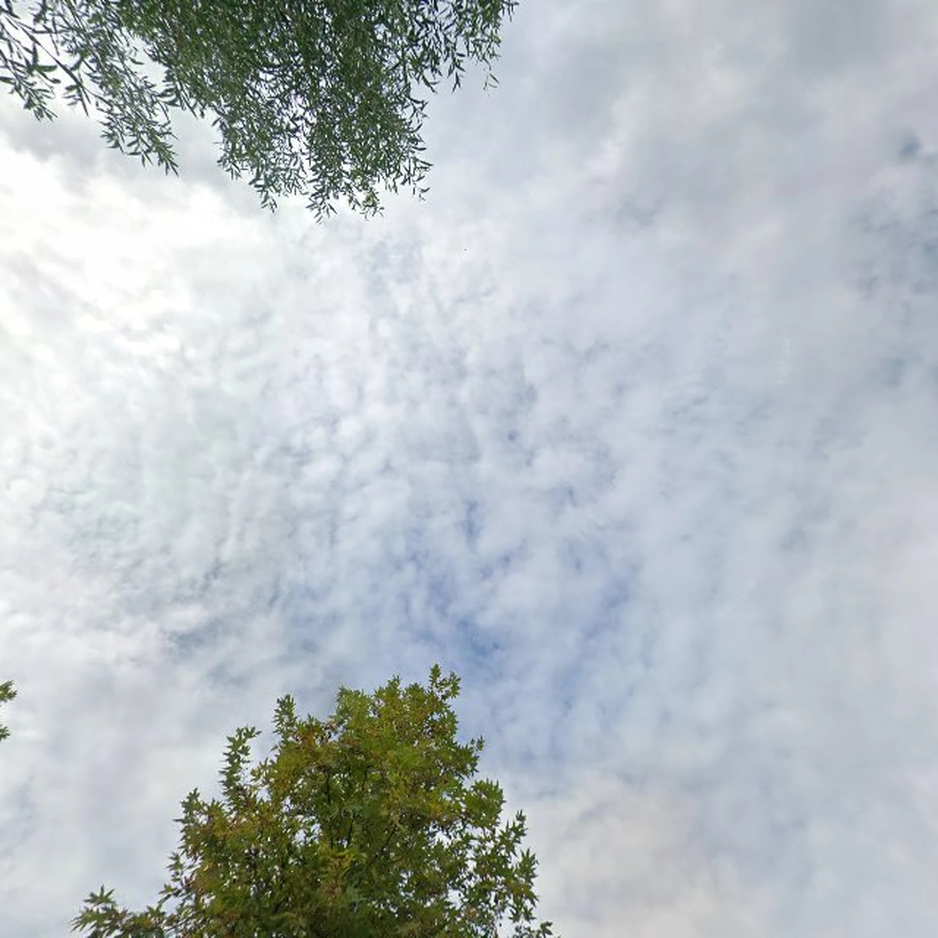 Kringloopwinkel Kringloopwinkel Woningontruiming Rotterdam in Rotterdam