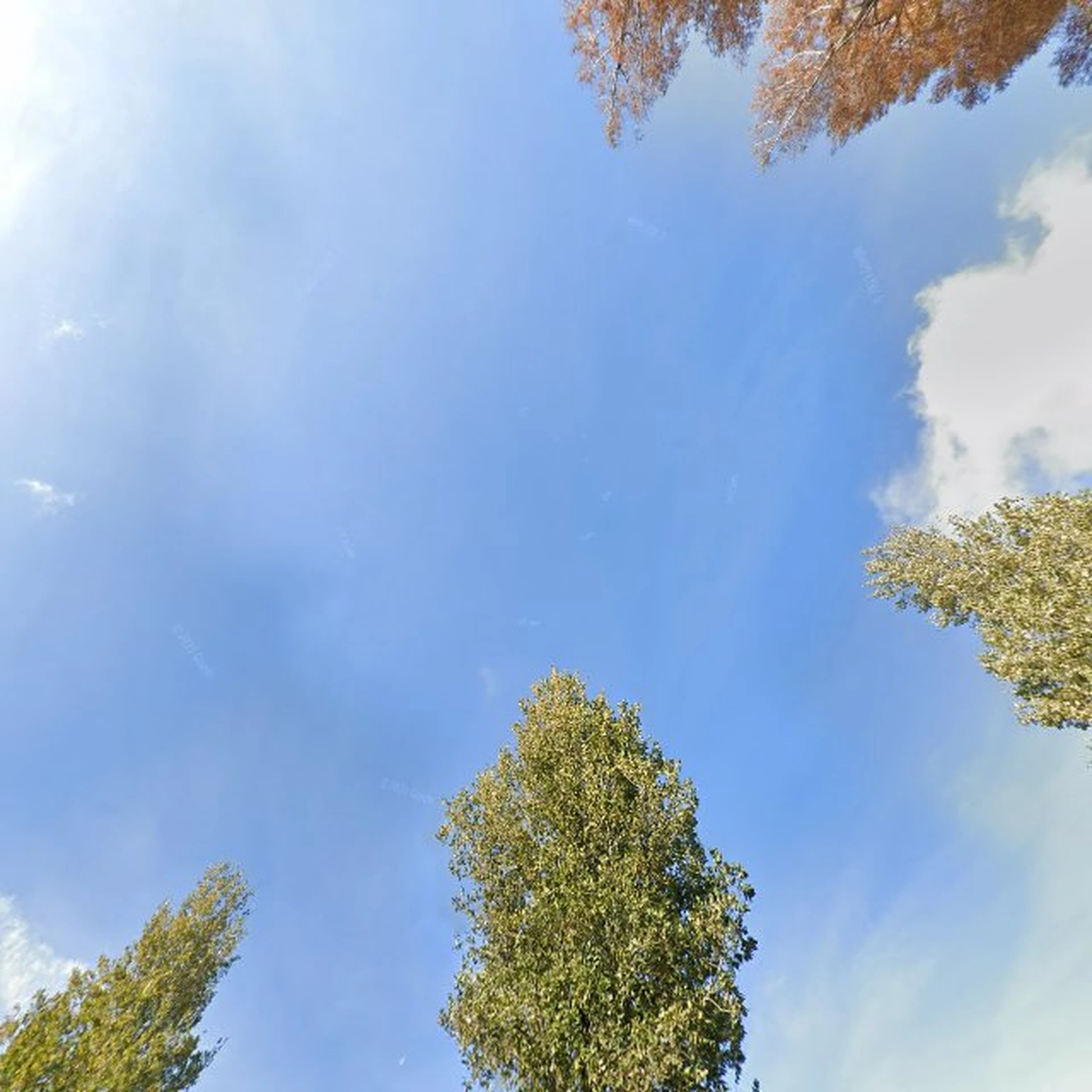 Kringloopwinkel Kringloopwinkel Woonwarenhuis De Springplank in Zoetermeer