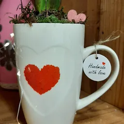 Bezoeker foto van Kringloopwinkel Woonwarenhuis De Springplank in Zoetermeer