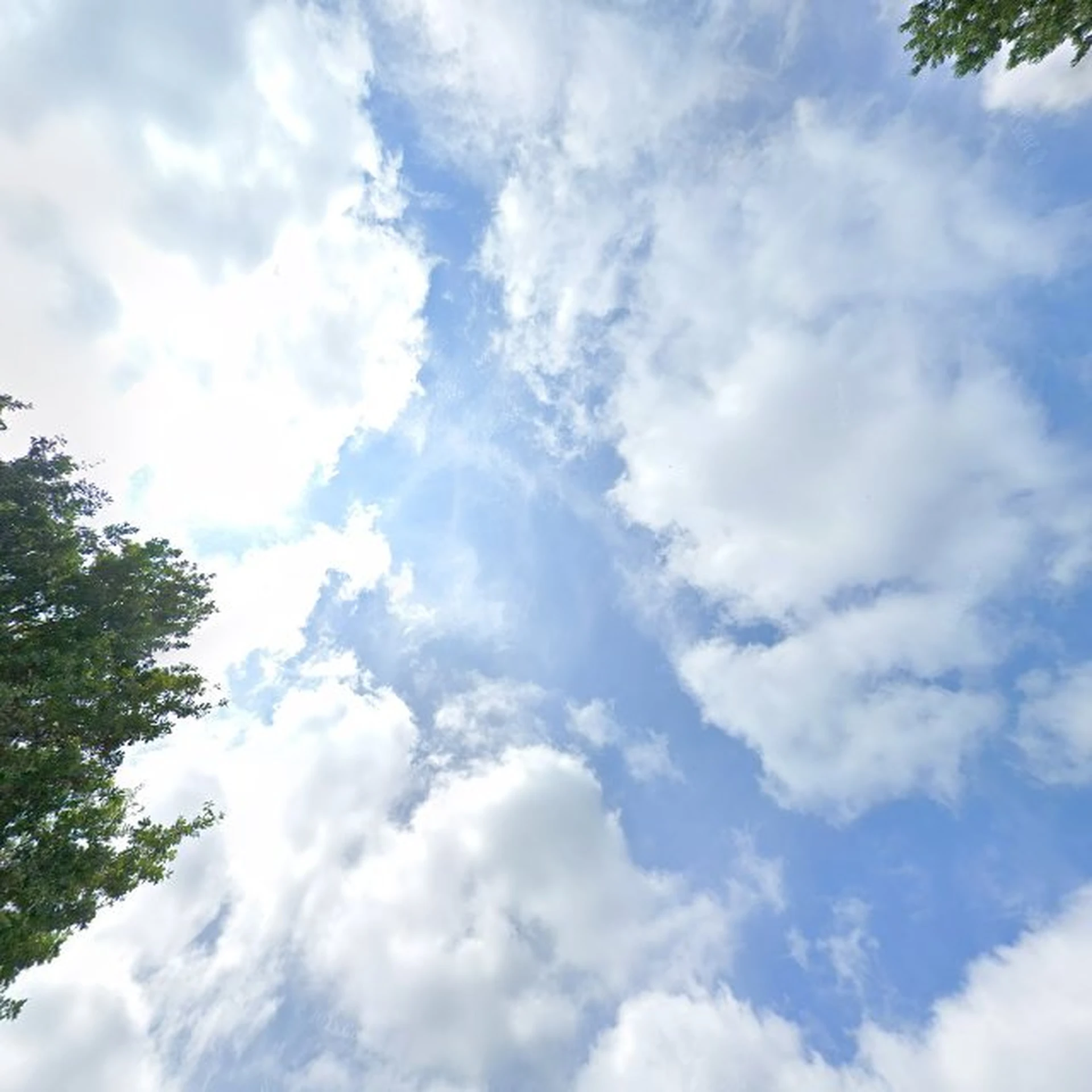 Kringloopwinkel Woord en Daad kringloopwinkel Drachten in Drachten