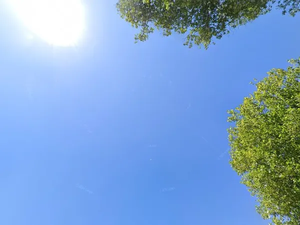 Kringloopwinkel in Hoogezand