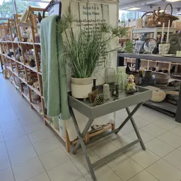 Grijze tafel met plantenpot, decoratieve items en huishoudartikelen in een kringloopwinkel