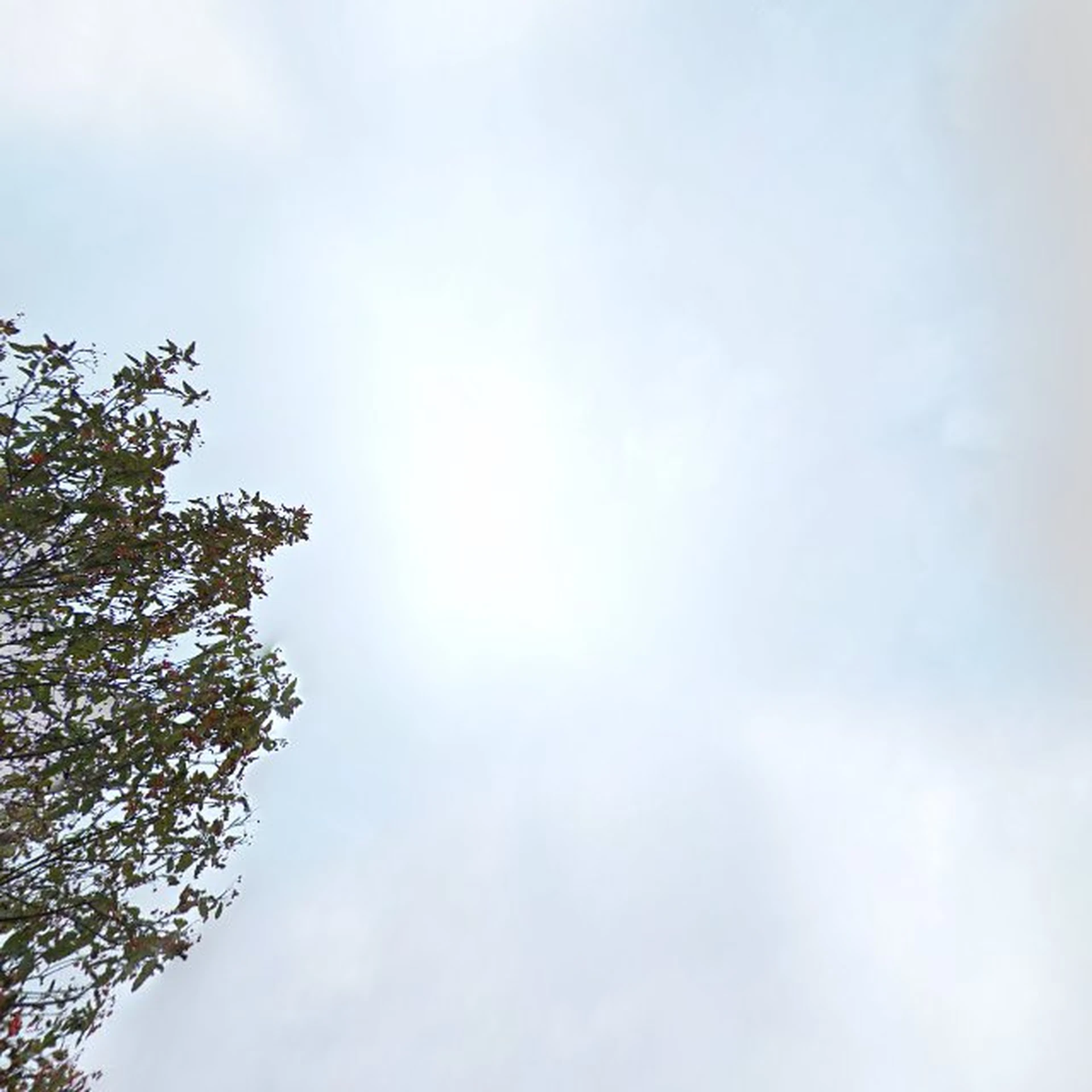 Kringloopwinkel Zolder023 in IJmuiden