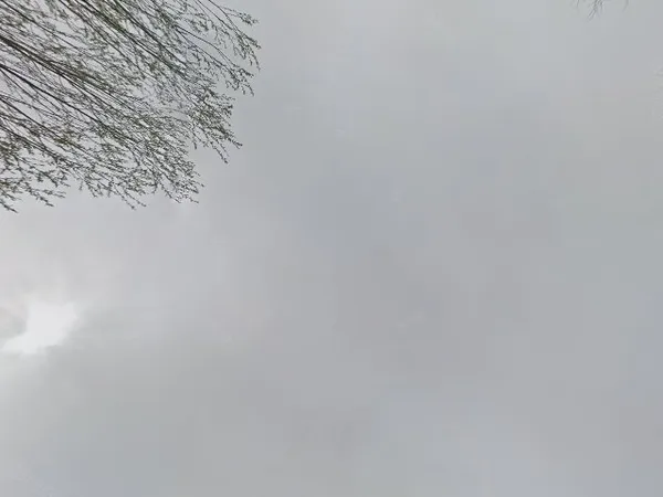 Kringloopwinkel in Noordeloos