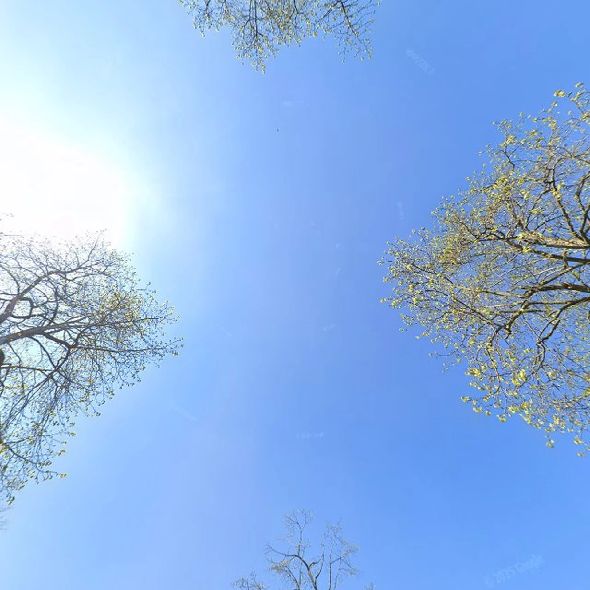 Kringloopwinkel Kringloopwinkel Zusseschuur in Zeeland