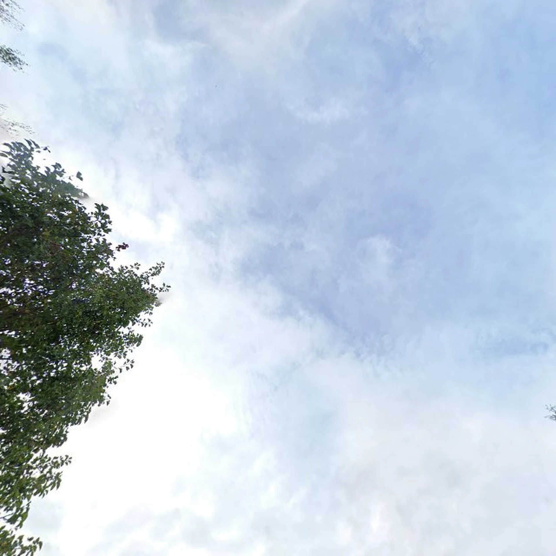 Kringloopwinkel Kringloopwinkel ZusZus & Zo in Genderen